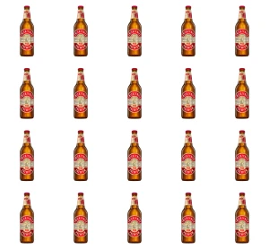 Zwierzyniec Pils Premium butelka bezzwrotna 500 ml X20