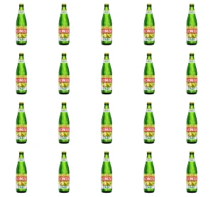 Piwo Łomża Gruszka 4,5% 0,5L butelka bezzwrotna X20