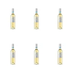 Cin&Cin Free Pinot Grigio 0,75L X6