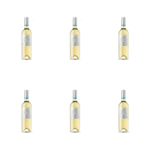 Cin&Cin Free Pinot Grigio 0,75L X6