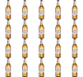 image-editor%2Fmultipack%2F1777032384616-r1881-c1-x20.png
