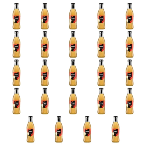 1773270195251-3973-2-x24-n0a3kc.png