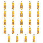 FANTA 250 ml X24