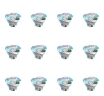 Deser na bazie maślanki z nata de coco i kawałkami czekolady Łaciate 170g X12