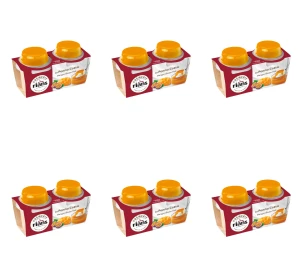 Panna Cotta Rians z mango i marakują 2x120g X6