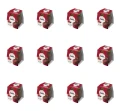 image-editor%2Fmultipack%2F1777031959205-r1502-c1-x12.png