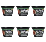 Danone Yopro pudding czekolada orzech laskowy 150g X6