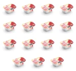Jana Serek o smaku malinowym 120g X15