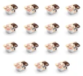 image-editor%2Fmultipack%2F1777031143382-r746-c1-x15.png