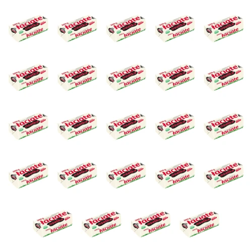 1773267655219-565-2-x24-crs99.png