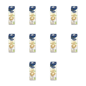 Riso Scotti Oat Barista - Barista Bio napój owsiany 1 L X10