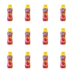 Jovi Duet Granat - Acerola 350g X12