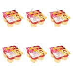 Serduszko Pudding wanilia z sosem malinowym 4x125g X6
