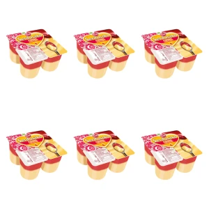 Serduszko Pudding wanilia z sosem malinowym 4x125g X6