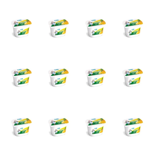 1773272476422-6964-2-x12-4axjs.png