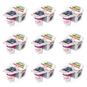 Serek wiejski z jagodami Piątnica 150g X9