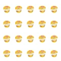 1773276072616-12190-2-x20-jgnqqr.png