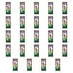 Zott Monte Snack Hazelnuts 29g X24