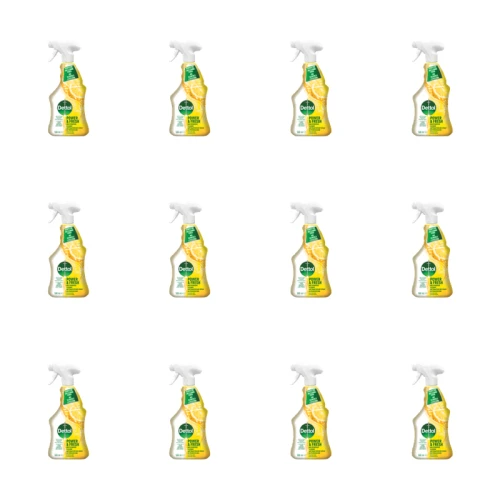 1773272787664-7421-2-x12-a8mtdd.png