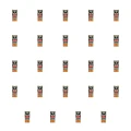 1773272840067-7499-2-x24-1bbcfg.png