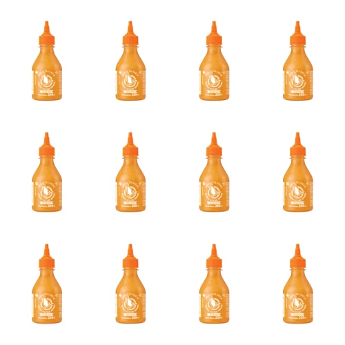 1773272862317-7531-2-x12-k70qfp.png