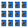 1773276426241-12680-2-x12-9kghg.png