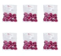 image-editor%2Fmultipack%2F1777032524705-r2020-c1-x6.png