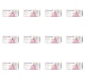 image-editor%2Fmultipack%2F1777032719628-r2246-c1-x12.png