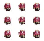 Lunter Pate de Tofu Cranberries 150g X9