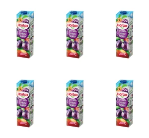 Hortex Sok 100% jabłko śliwka karton 1L X6