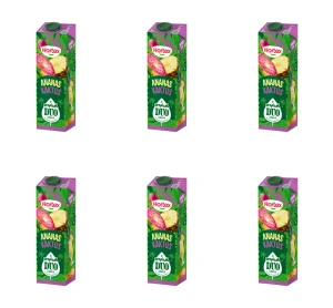 Hortex Tropical Duo Napój Ananas Kaktus karton 1L X6