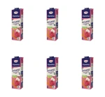 Hortex Vitaminka Witalność sok jabłko, marchew, malina karton 1L X6