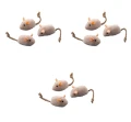 image-editor%2Fmultipack%2F1777033083709-r2622-c1-x3.png