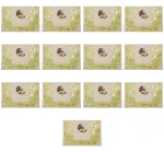 Pistacja 139g Mieszko X13
