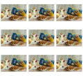 image-editor%2Fmultipack%2F1777033359494-r2856-c1-x9.png