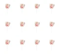 image-editor%2Fmultipack%2F1777033378801-r2873-c1-x12.png