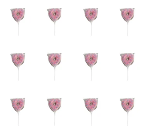 Sweet'nFun Heart Donut Mallow Pop Pianka do jedzenia Serce 45 g X12