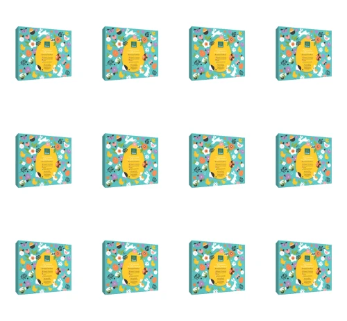 image-editor%2Fmultipack%2F1777033450228-r2936-c1-x12.png