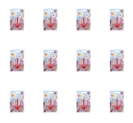 Sweet'nFun Dummy Pop Zabawka lizak smoczek 15 g X12