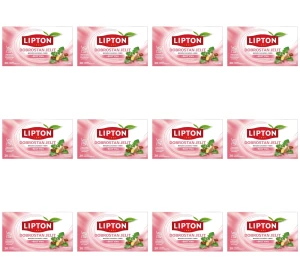 Lipton Herbata ziołowa dobrostan jelit 20 TB X12