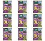 Przysnacki chipsy Wiosna w dolinie o smaku śmietana z nutą czosnku 130 g X9