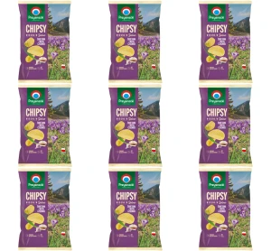 Przysnacki chipsy Wiosna w dolinie o smaku śmietana z nutą czosnku 130 g X9