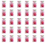 Kisiel malina z nutką limonki - z kawałkami owoców Lucatto 31,5g X30