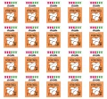 image-editor%2Fmultipack%2F1777033902946-r3342-c1-x20.png