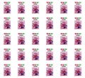 image-editor%2Fmultipack%2F1777033919858-r3358-c1-x30.png