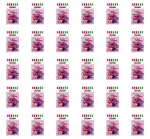 Kisiel owoce leśne z nutką hibiskusa - z kawałkami owoców Lucatto 31,5g X30