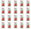 image-editor%2Fmultipack%2F1777033931148-r3369-c1-x20.png