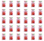 Kisiel truskawka z wanilią - z kawałkami owoców Lucatto 31,5g X30