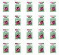 image-editor%2Fmultipack%2F1777034063337-r3492-c1-x20.png