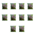 1773275762665-11757-2-x10-49iush.png